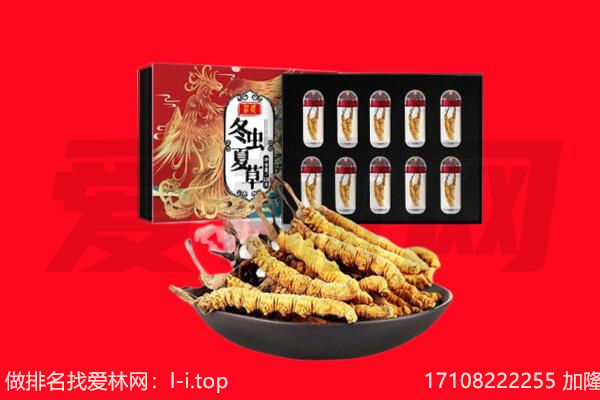 泰州回收虫草.jpg
